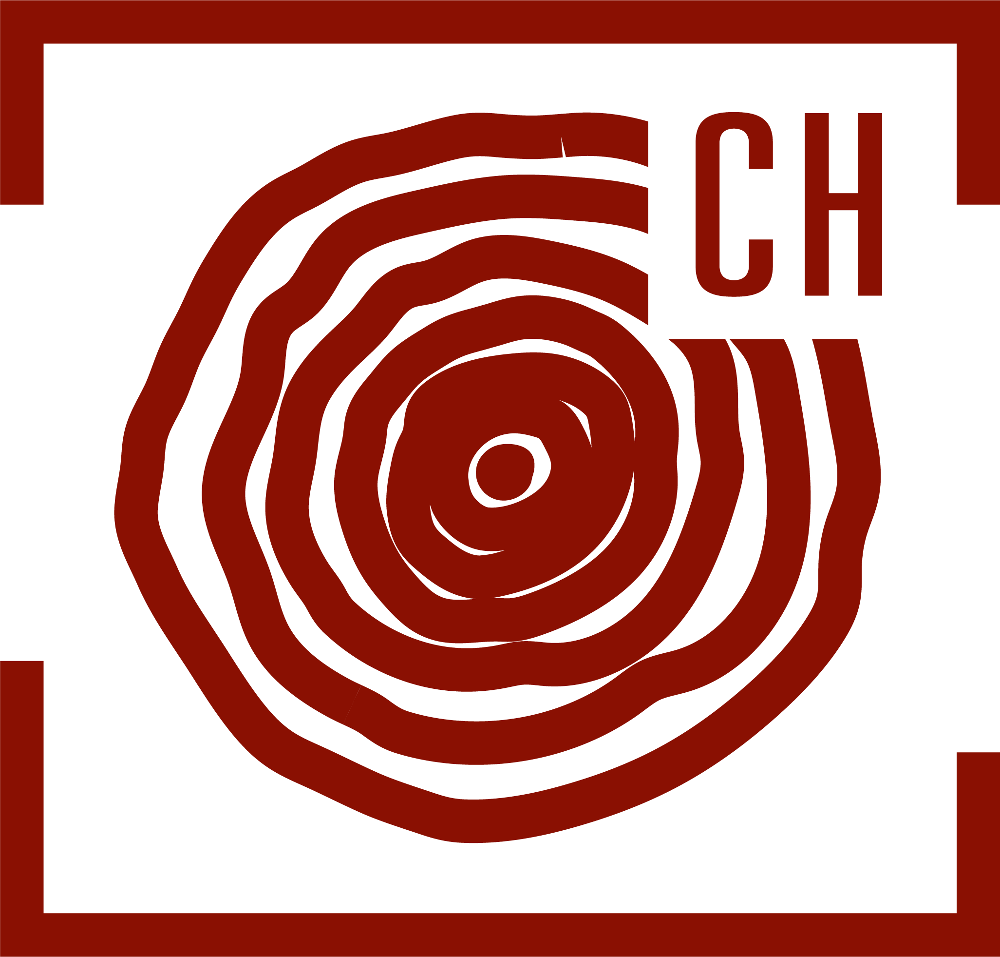 Schweizer Holz