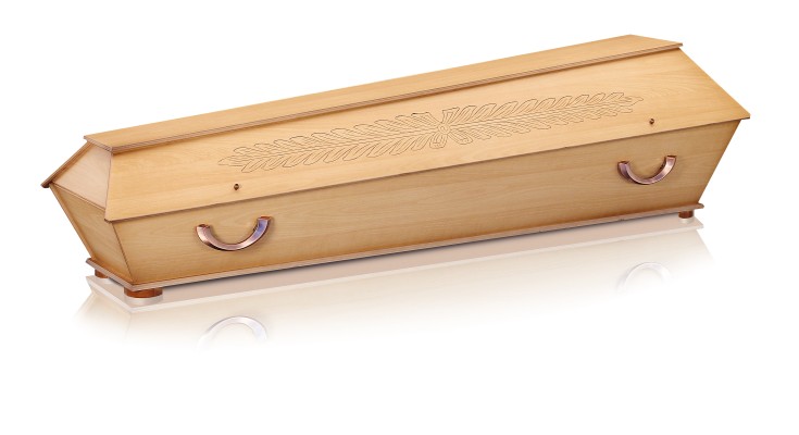 Multiplex Imitation Buche mit Palme